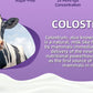 Colostrum Powder