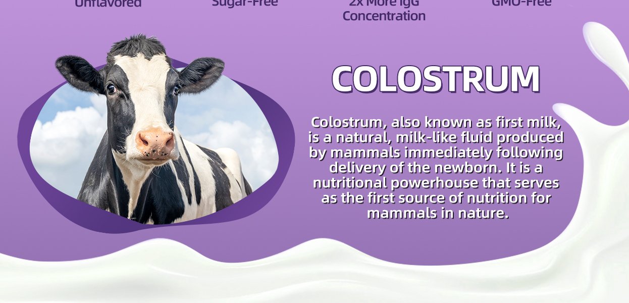 Colostrum Powder