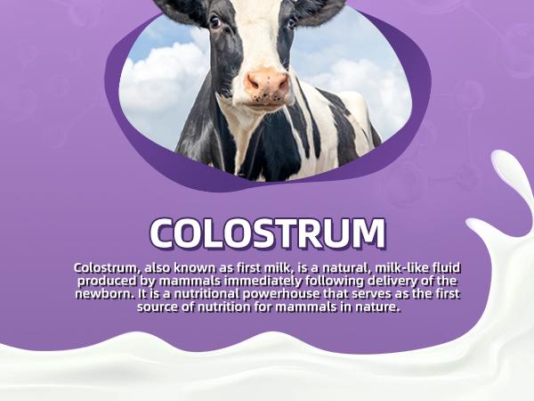 Colostrum Powder