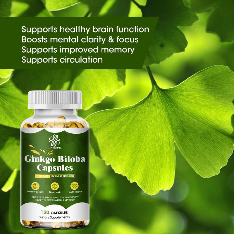 Ginkgo Biloba Extra Strength - Supports Brain Function & Memory Support, 120 Vegetarian Capsules