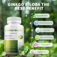 Ginkgo Biloba Capsules Herbal Extracts